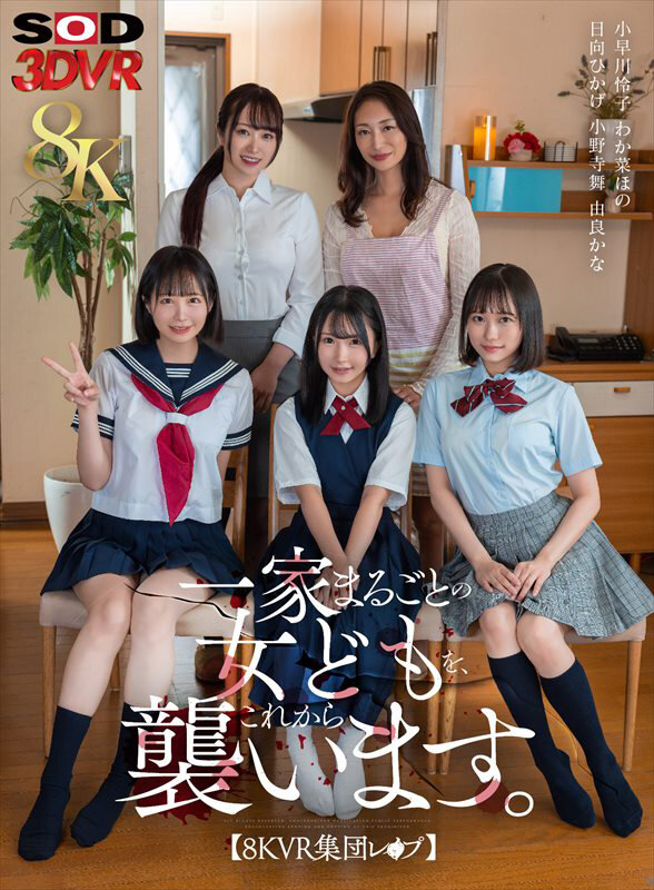 【VR】【8K】【VR集団レ×プ】一家まるごとの女どもを、これから襲います。 サンプル 1