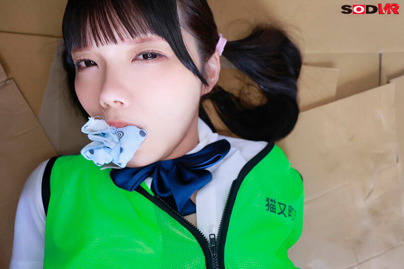 【VR】【8K】【高画質 追跡視点】休日に地域のゴミ拾いに参加する心が綺麗な少女を捕獲して淫行 サンプル 8