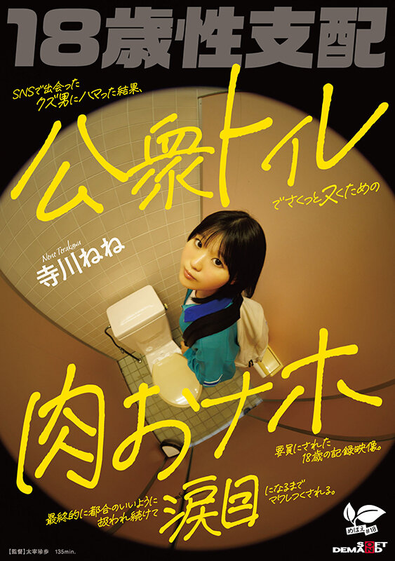 SNSで出会ったクズ男にハマった結果、公衆トイレでさくっとヌくための肉おナホ要員にされた18歳の記録映像。最終的に都合のいいように扱われ続けて涙目になるまでマワしつくされる。 寺川ねね サンプル 1