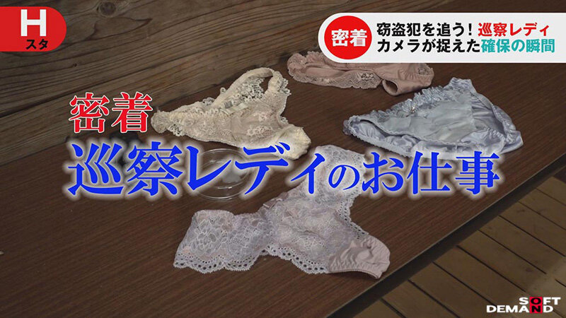 巡察レディのお仕事～女湯更衣室パンティ窃盗少年更生精子回収編～ サンプル 1