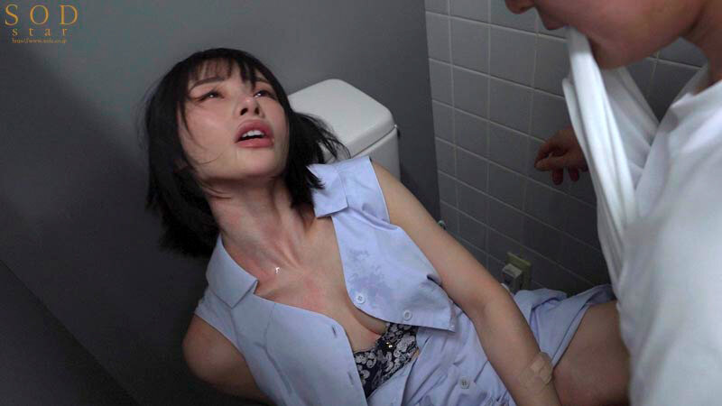 炎上しまくってる態度ワルすぎ悪質ギャラ飲み女をさらって金とチ〇ポで尊厳破壊キメセク乱交 宮島めい サンプル 8