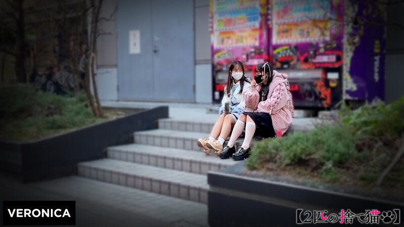 A.N.＆K.N. サンプル 1