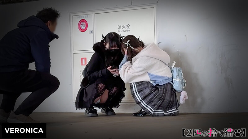 I.A.＆H.M. サンプル 1