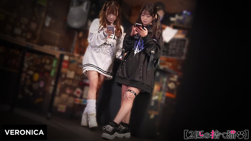O.I.＆R.I. サンプル 1