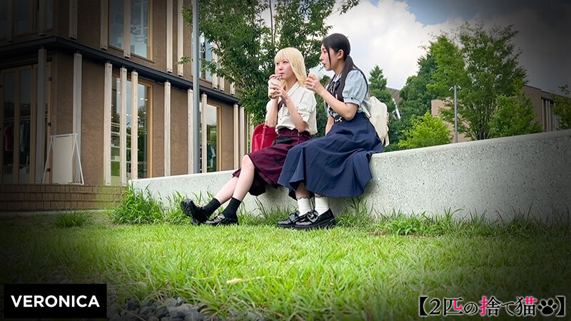 M.A.＆H.M. サンプル 1
