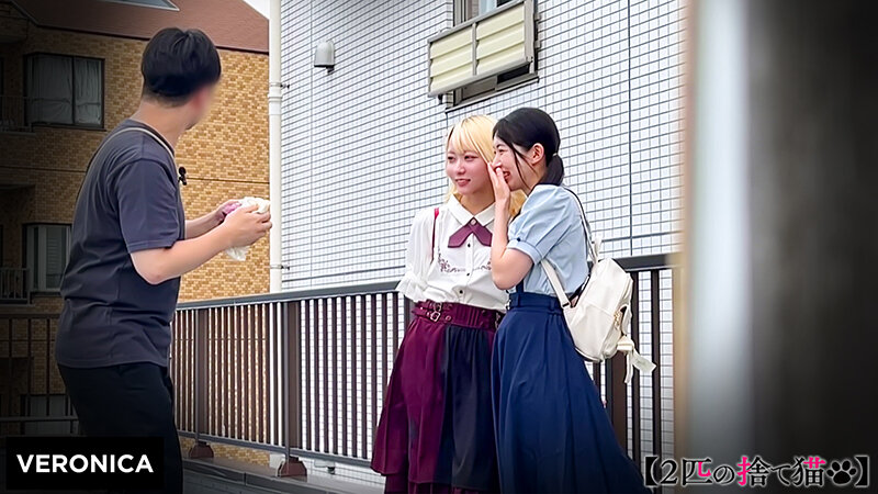 M.A.＆H.M. サンプル 2