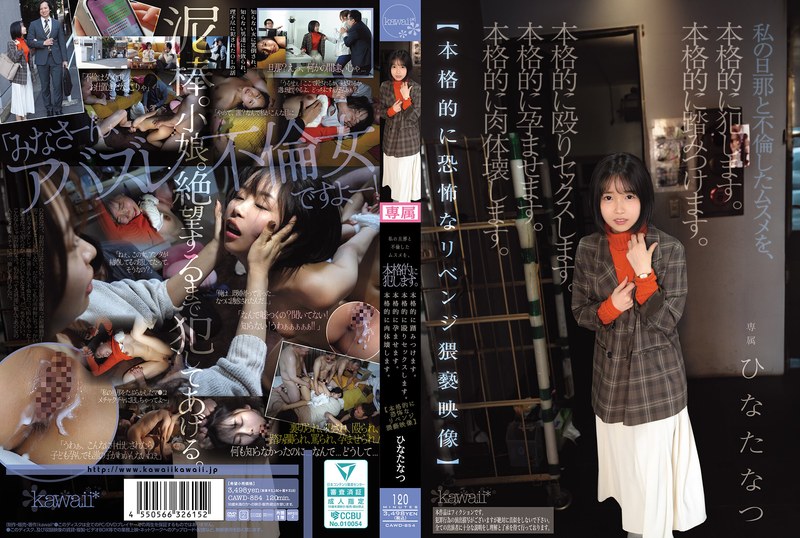 私の旦那と不倫したムスメを、本格的に犯します。本格的に踏みつけます。本格的に殴りセックスします。本格的に孕ませます。本格的に肉体壊します。【本格的に恐怖なリベンジ猥褻映像】 ひなたなつ