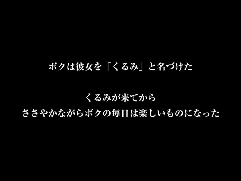 【VR】【8KVR】DOLL 性処理専用愛玩人形 夢なら夢のままでいて欲しい…独りよがりなボクと無抵抗なさくらの夢のような日常 胡桃さくら サンプル 11
