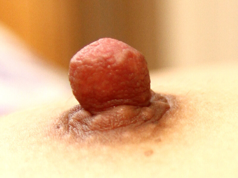 大正・昭和から伝わる熟女の福ちくび様～黒乳首・貧乳乳首・巨大乳輪・垂れ乳の四大福乳様を御参拝～40人8時間 サンプル 2