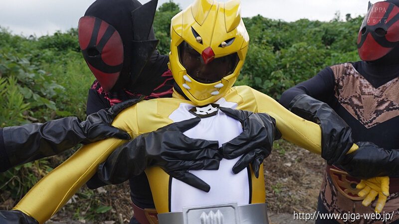 ヒロイン特殊責め 神獣戦隊ビーストレンジャー ビーストイエロー 及川うみ サンプル 2