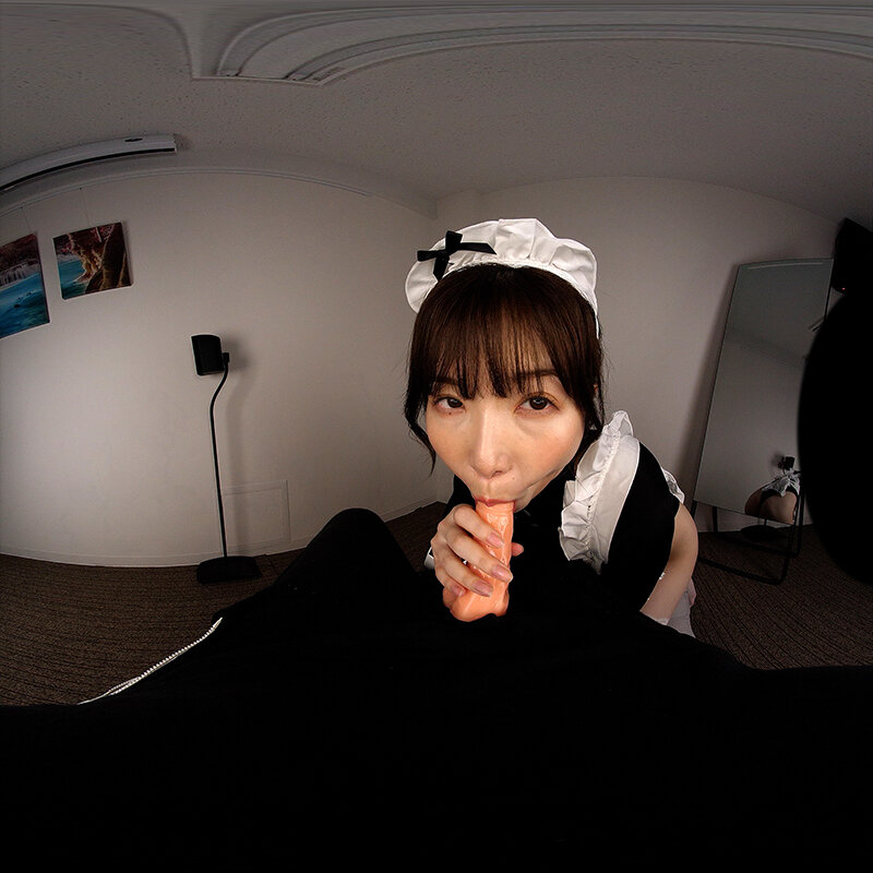 【VR】ハンラシンTHE BEST VR 極舐め！超接写絶頂フェラチオVR！