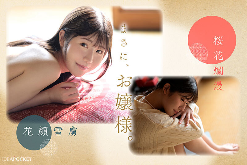 FIRST IMPRESSION 188 上品で癒しの雰囲気から想像つかない意外性 坂井美桜 サンプル 3