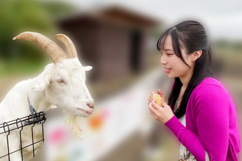 いつでもどこでも人妻オナホ したがり温泉旅行 藤原真帆 サンプル 3